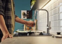 Blanco Jandora S - Keukenkraan Met Uittrekbare Sproeikop, Geborsteld Rvs 526614 -Keukenartikelen Serie Winkel 4fa8fac093fb9deae07017a0