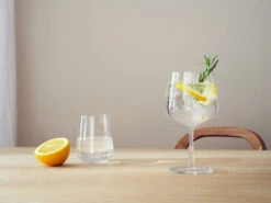 Iittala Essence Gin & Cocktailglas 4-pack -Keukenartikelen Serie Winkel 574599 01 41 EnvironmentImage 2daae4939b