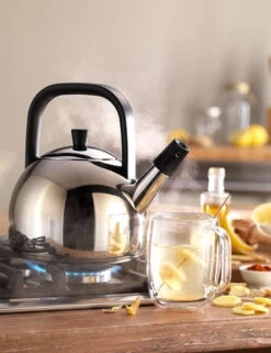 Zwilling Plus Fluitketel Rond 1,6 Liter Rvs -Keukenartikelen Serie Winkel zwilling plus fluitketel rond 1 5 liter rvs